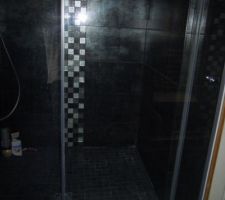 Nouvelles photos salle de bain n° 2 fini avec sauna