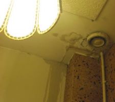 Des taches au plafond des toilettes