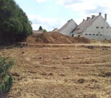 Viabilisation en-cours, vu avec l'agence cet apm, les arbres sur le coté dégagent....