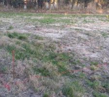 Trac&eacute; de la maison