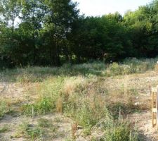 Le terrain avant préparation