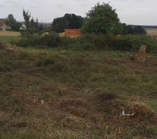 Notre terrain 1910 m2 vue c&ocirc;t&eacute; gauche