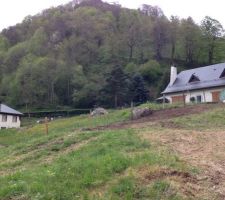 Le haut du terrain avec les haie en moins