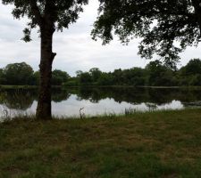 Autour de l'etang de Meyrat (étang en face de notre terrain)