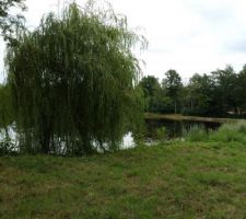 Autour de l'etang de Meyrat (étang en face de notre terrain)