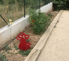 Notre tout petit potager !!!