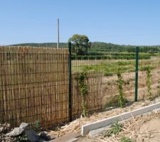 Dernier projet: fermer la clôture avec du bambou des champs aux alentours