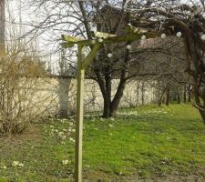 Petite vue du jardin au printemps
