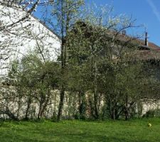 La maison au printemps