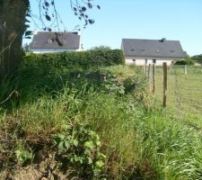 Cl&ocirc;ture ouest et talus... l'herbe sauvage a repouss&eacute;...