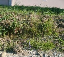 Hauteur du terrain (crayon t&eacute;moin)