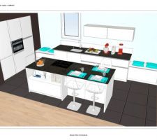 Notre projet de cuisine : 3 colonnes pour four, frigo et et rangements, 1 linéaire lavage, préparation repas et rangements à tiroirs, 1 ilot central avec cuisson et coin repas