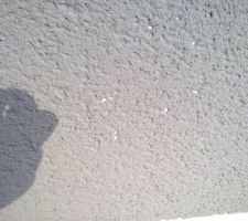 Petit soucis avec la peinture de finition au niveau de l?extension du salon, elle s'en va déjà, au bout de 2 semaines, ça craint un peu, l'esthétique extérieur de la maison est tout aussi important que l'intérieur donc affaire à régler.