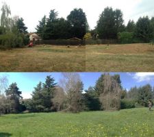 Elagage et abbatage des arbres: préparation du terrain pour la construction