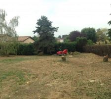 Elagage et abbatage des arbres: préparation du terrain pour la construction