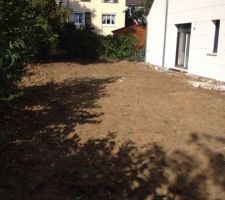 Nettoyage du jardin