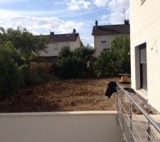 Nettoyage du jardin