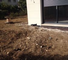 Nettoyage du jardin