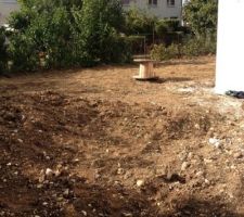Nettoyage du jardin