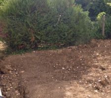 Nettoyage du jardin