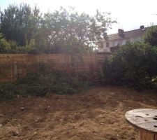 Nettoyage du jardin