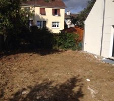 Nettoyage du jardin