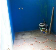 SDE en cours, étanchéité de la douche à l'italienne