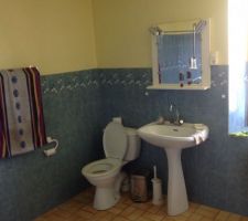 Cuisine et salle de bain et WC en enfilade 

Nouvelle implantation 

Chambre 
WC 
Salle de bain