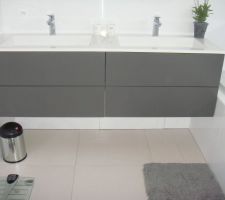 Salle de bain et douche RDC