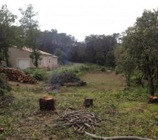 Vue vers le bassin de r&eacute;tention (Ouest), &ccedil;a fait plus clair!