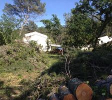 Le pin du fond sera d&eacute;mont&eacute; plus tard avec une grande &eacute;chelle car trop pr&egrave;s du voisin, on ne va pas partir sur de mauvaise avec eux :-)