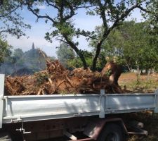 On d&eacute;barrasse les souches qui ne brulent pas bien!