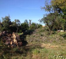Un beau tas de branche dont il faudra se d&eacute;barrasser et un beau tas de bois pour le grand p&egrave;re de ma femme.