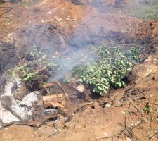 Un deuxi&egrave;me trou pour faire bruler! Les tas de plusieurs m&ecirc;tres cubes sont d&eacute;barrasser en deux jours!