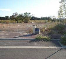 Photo du terrain avant construction