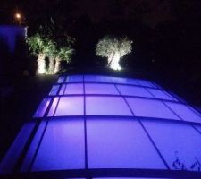 Vue jardin de nuit