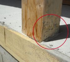 Quelques d&eacute;tails