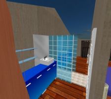 La future salle de bain