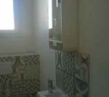 Meuble rangements wc.