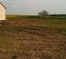 29/04/2010 en fin d'apr&egrave;s-midi