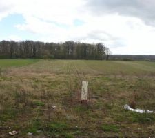 Coup de coeur pour le terrain.