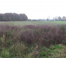 Le terrain doit être débroussaillé pour le début des travaux.