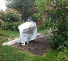 Jardin