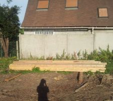 Notre terrain (en partie).
Le bornage a &eacute;t&eacute; fait. Notre limite c&ocirc;t&eacute; droit est repr&eacute;sent&eacute;e par le petit tasseau plant&eacute; contre le mur du fond.....