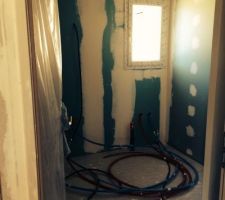 Placo vert pour la protection d'humidit&eacute; de la douche