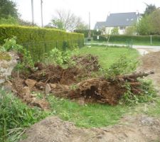 Terrassement pour future pelouse