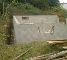 Une belle image d'ensemble, mais c'est du travail &agrave; d&eacute;truire puis refaire, Dommage