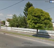 Arbre qui g&egrave;ne l?acc&egrave;s &agrave; mon lot arrach&eacute;, puis &agrave; droite  de cet arbre une rang&eacute;e de thuya et extr&ecirc;me droite les jardins familiaux nus.