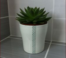 Succulente salle de bain