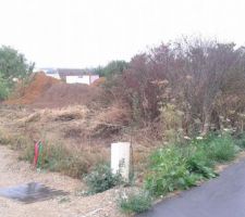 D&eacute;limitation du terrain